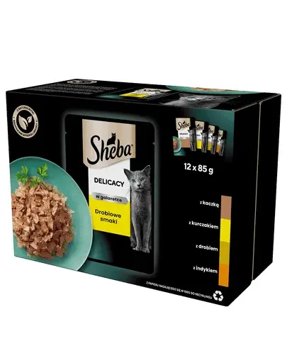 SHEBA Delicacy in Jelly Set hrana umeda pentru pisici adulte, cu carne de pasare in aspic 12 x 85g