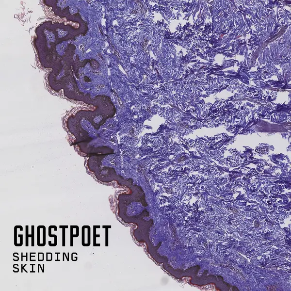 Shedding Skin - Vinyl | Ghostpoet