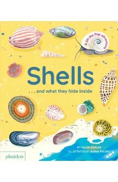 Shells... and What They Hide Inside: A Lift-The-Flap Adventure - Helen Scales