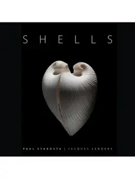 Shells, Hardback/Paolo Portoghesi