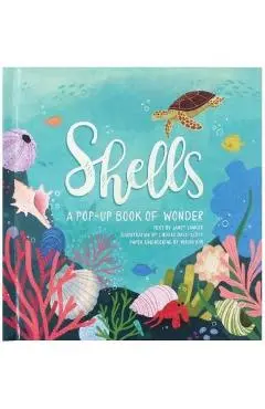 Shells - Janet Lawler