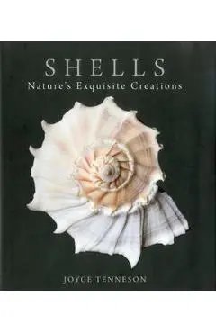Shells: Nature's Exquisite Creations - Joyce Tenneson
