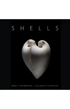 Shells - Paolo Portoghesi