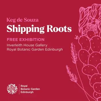 Shipping Roots, Paperback/Keg de Souza