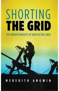 Shorting the Grid: The Hidden Fragility of Our Electric Grid - Meredith Angwin
