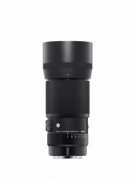 Sigma 105mm F2.8 DG DN Macro Art Obiectiv Foto, Format Full Frame, Montura Sony E, Diafragma F2.8, Motor HSM, Seria Art