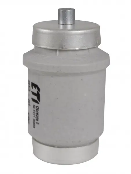 siguranta div gg 100a/500v 002314402