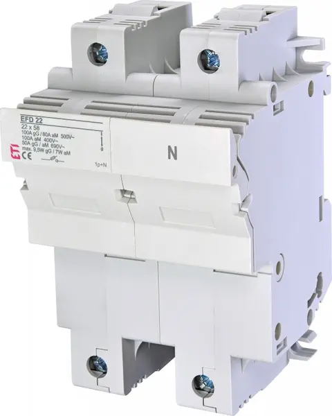 siguranta efd 22 1p+n 002570002