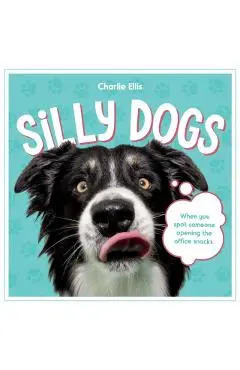 Silly Dogs - Summersdale Publishers