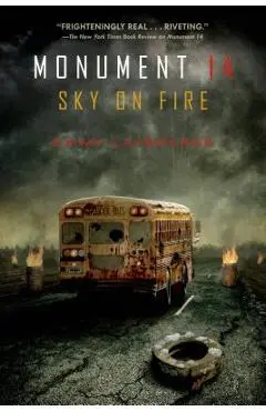 Sky on Fire - Emmy Laybourne