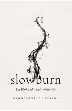 Slow Burn: The Work and Wonder of the Wait - Dawnchere Wilkerson