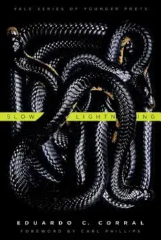 Slow Lightning, Paperback/Eduardo C. Corral