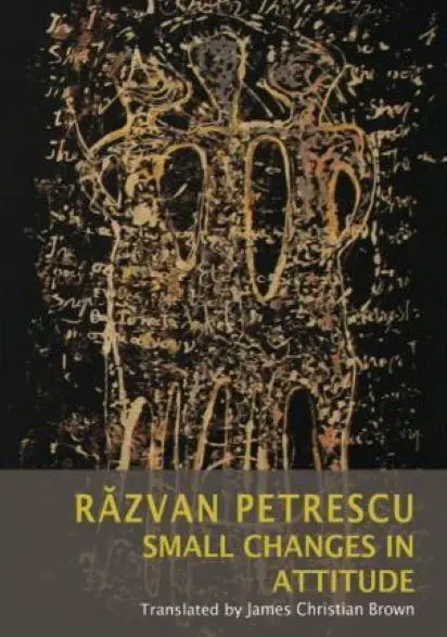 Small Changes in Attitude | Razvan Petrescu