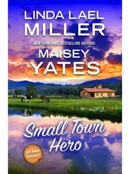 Small Town Hero, Paperback/Maisey Yates