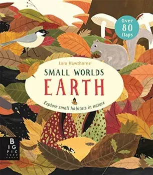 Small Worlds: Earth, Board book/Camilla De La Bedoyere
