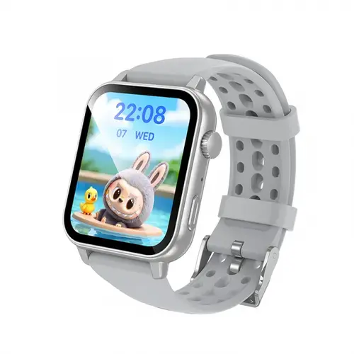 Smartwatch Borofone BD15 Call, Ecran TFT IPS 1.83, Bluetooth, IP67 (Argintiu)