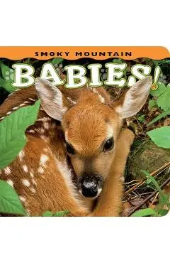 Smoky Mountain Babies! - Ann Simpson