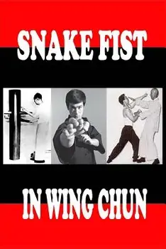 Snake fist in wing chun, Paperback/Semyon Neskorodev