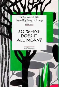So What Does It All Mean?, Paperback/S. S. O'Connor