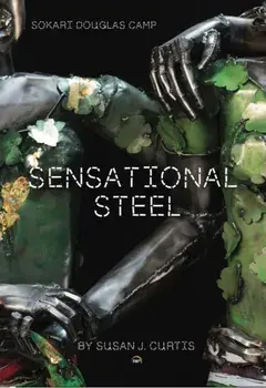 Sokari Douglas Camp: Sensational Steel, Paperback/Susan J. Curtis