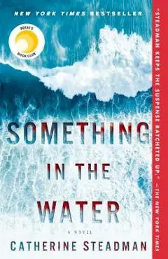 Something in the Water - Catherine Steadman