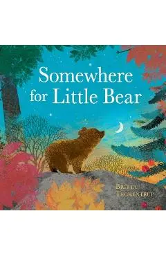 Somewhere for Little Bear - Britta Teckentrup