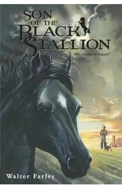 Son of the Black Stallion - Walter Farley
