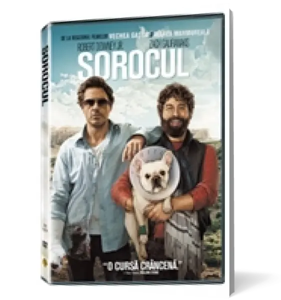 Sorocul