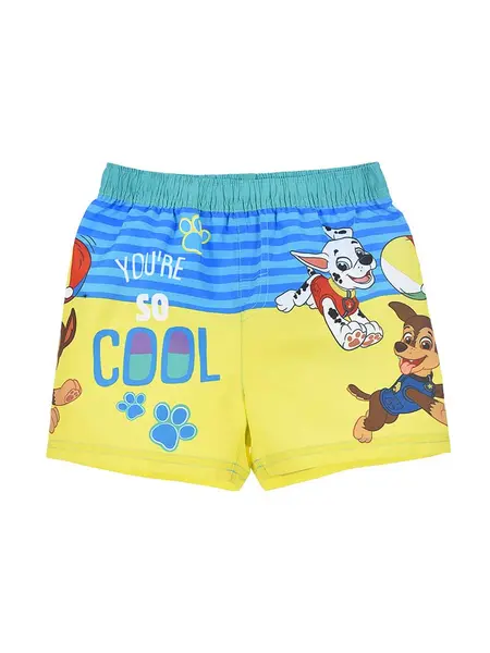 Sort inot Paw Patrol