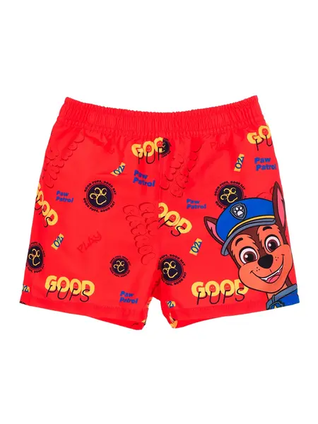 Sort inot Pawpatrol