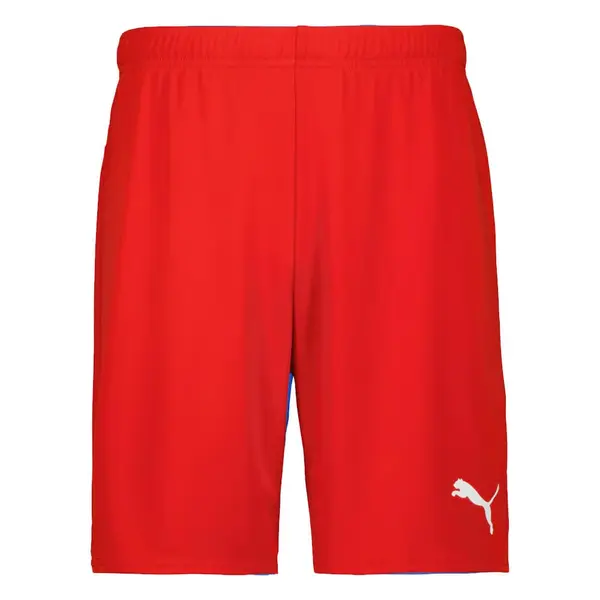 Sort Puma Team GOAL - 01 Red, 3XL