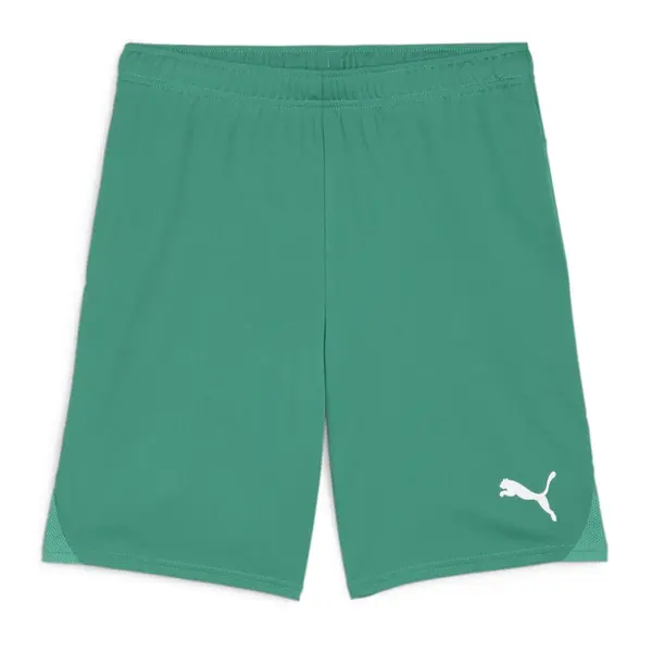 Sort Puma Team GOAL - 05 Pepper Green, M