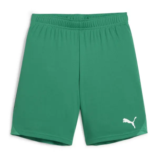 Sort Puma Team GOAL Copii - 05 Pepper Green, 128