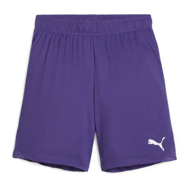 Sort Puma Team GOAL Copii - 10 Prism Violet, 152