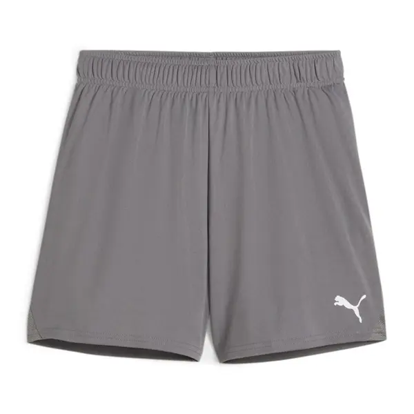 Sort Puma Team GOAL Women - 13 Smoked Pearl, L