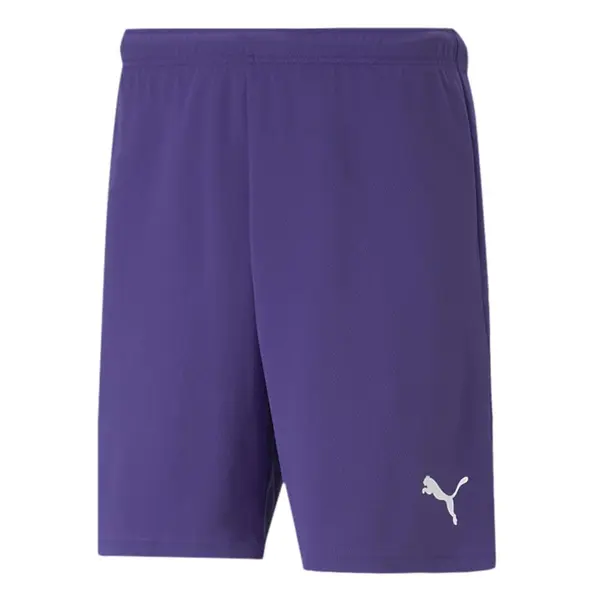 Sort Puma teamRISE - 10 Prism Violet, 3XL