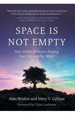 Space Is Not Empty: How Hidden Fields Are Shaping Your Life and Our World - Alan Briskin