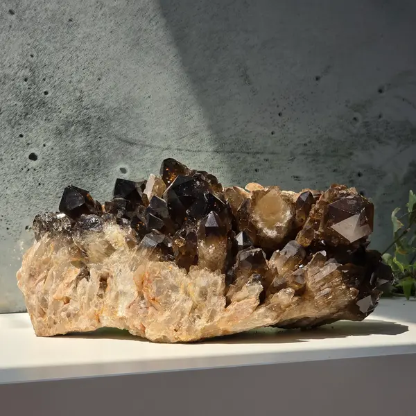Specimen cluster cuart fumuriu XXL1