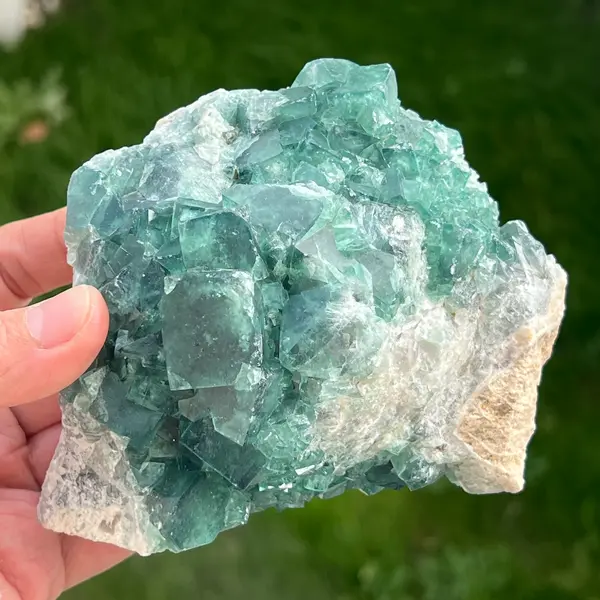 Specimen fluorit cubic model 5