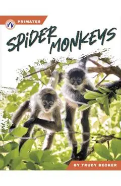 Spider Monkeys - Trudy Becker