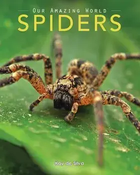 Spiders: Amazing Pictures & Fun Facts on Animals in Nature, Paperback/Kay De Silva