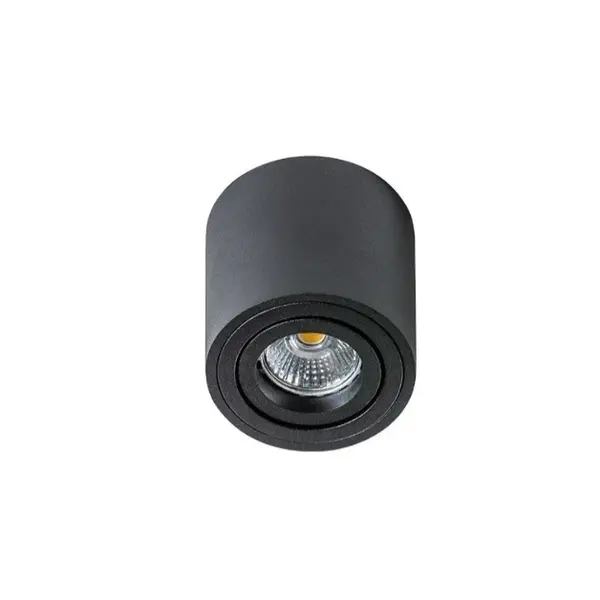 Spot aplicat ARGATY MINI - Negru