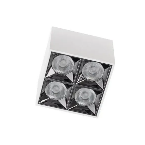 Spot aplicat BARUZ WHITE 16W - Lumina neutra 4000K