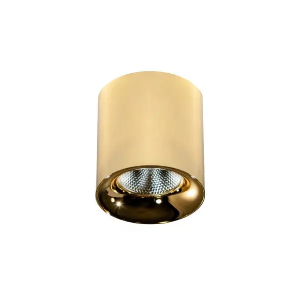 Spot aplicat dimabil MANE 20W - Gold