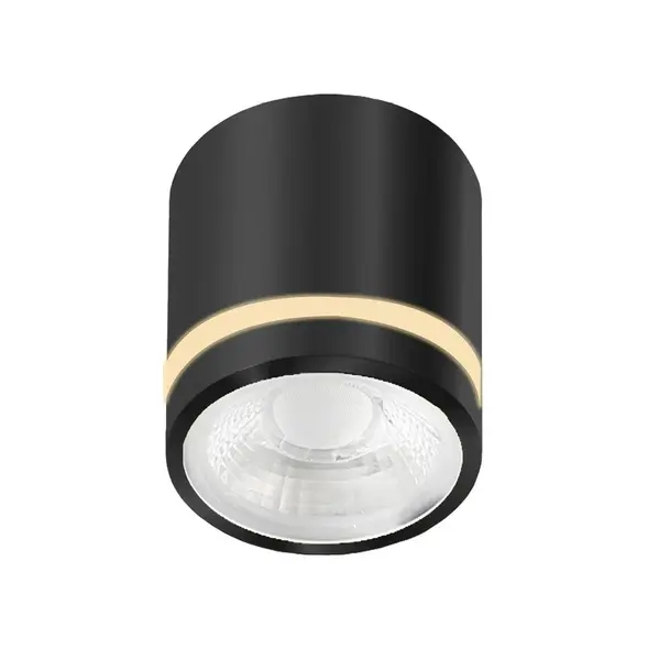 Spot aplicat dimabil VRICS - Negru