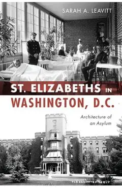 St Elizabeths in Washington, D.C.: Architecture of an Asylum - Sarah A. Leavitt