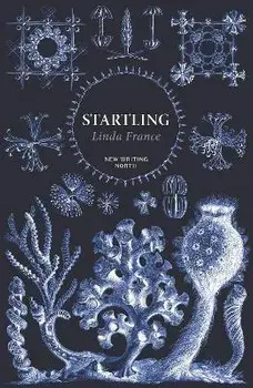 Startling. Main - New Writing North, Paperback/Linda France
