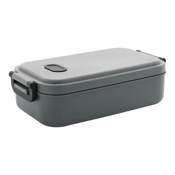Steamo cutie pentru prânz - gri