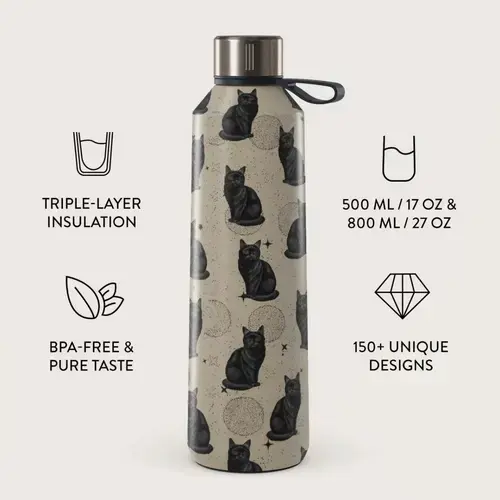 Sticla Termos Burga Salem, 500 ml, Inox