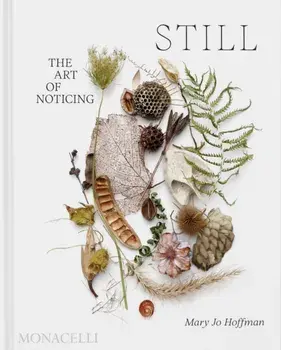 STILL. The Art of Noticing, Hardback/Mary Jo Hoffman
